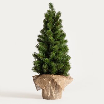 Vánoční stromek | OPPLA | zelený | 55 cm | 754883