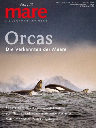 mare mare No. 143. Orcas