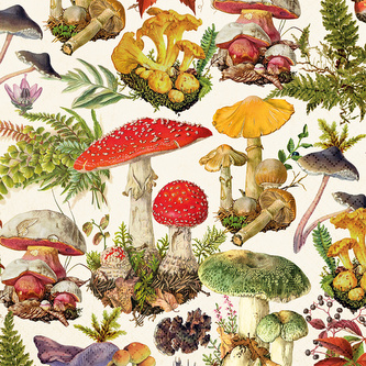 Papírový ubrousek Mushroom Forest