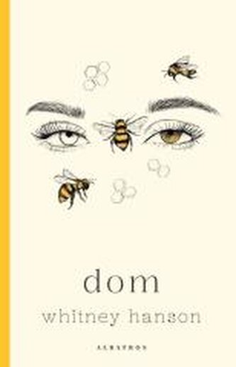 Dom Dom