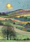 Přání K027 BUG ART