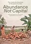 Abundance Not Capital