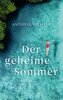 Der geheime Sommer