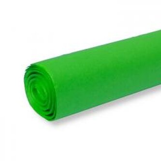 Bibuła kolorowa gładka zielona 50x70cm 30ar Bibuła kolorowa gładka zielona 50x70cm 30ar