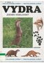 Vydra