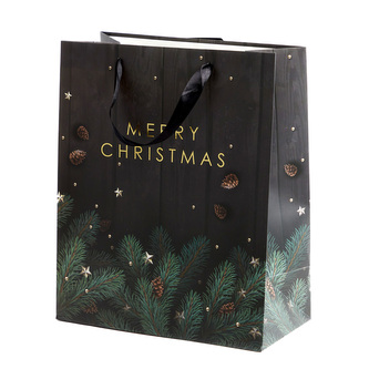 Dárková taška | Cyma | s nápisem | 19x23x10 cm | 874326