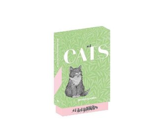 Cats. 50 Postcards Cats. 50 Postcards