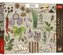 Puzzle 500 Finders Keepers: Przyprawy TREFL