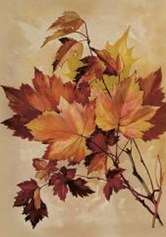 Karnet ST515 B6 + koperta Jesienny klon