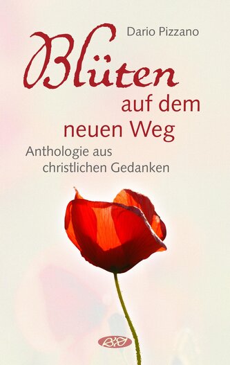 Blüten auf dem neuen Weg