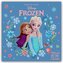 Disney Frozen - Offizieller Kalender 2026 - Wandkalender