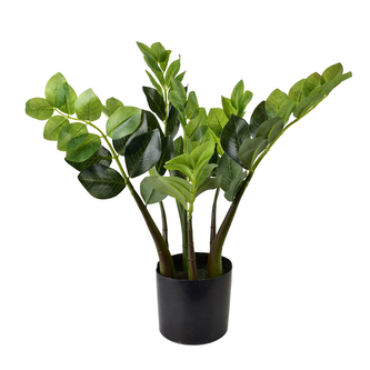 VIRIDIS Sztuczny kwiat zamiokulkas 12,5z11,5x49cm