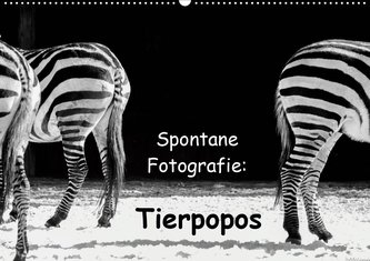 Spontane Fotografie: Tierpopos (Wandkalender 2021 DIN A2 quer)
