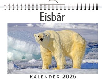 Eisbär Eisbär
