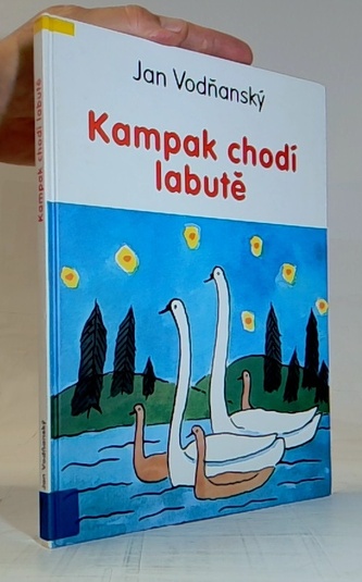 Kampak chodí labutě