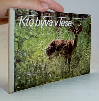 Kto bývá v lese