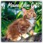 Maine Coon Cats - Main Coon Katzen 2026 - 18-Monatskalender - Original Plenty Gifts-Kalender [Mehrsprachig] [Kalender]