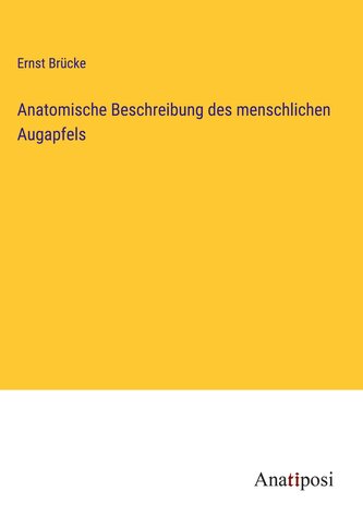 Anatomische Beschreibung des menschlichen Augapfels