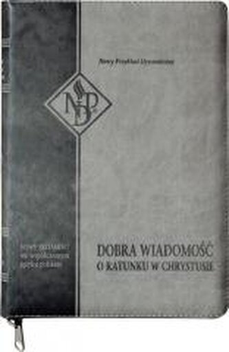 Nowy Testament NPD suwak paginatory szary