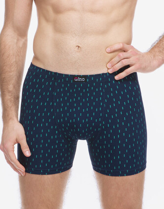 Pánské boxerky Gino vícebarevné (74181-DCMMMZ) S