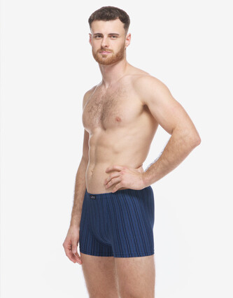 Pánské boxerky Gino vícebarevné (73138-DCMMBM) XL