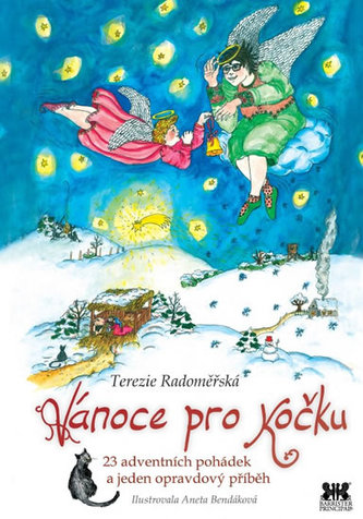 Vánoce pro kočku