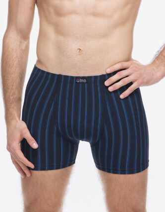 Pánské boxerky Gino vícebarevné (74178-DCMMBM) S