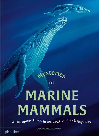 Mysteries of Marine Mammals. An Illustrated Guide to Whales, Dolphins, and Porpoises