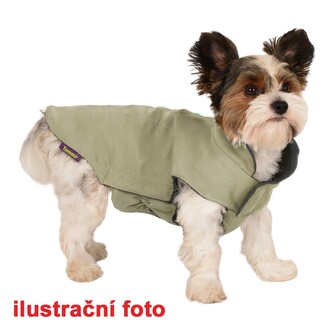 Salvia pastelově zelený 45 cm