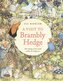 A Visit to Brambly Hedge