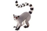 Lemur