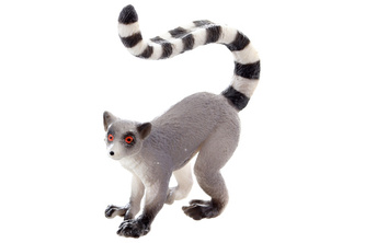 Lemur