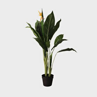 Umělá rostlina | AILIA | Strelitzia | 100 cm | 956537