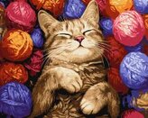 Malowanie po numerach - Kot w plątaninie 40x50cm