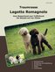 Traumrasse Lagotto Romagnolo