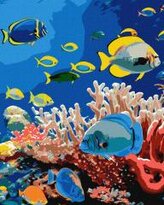 Malowanie po numerach - Życie oceanu 40x50cm
