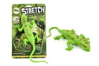 Jaszczurka rozciągliwa