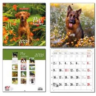 Kalendarz 2026 30x60 13 planszowy Psy Rasowe