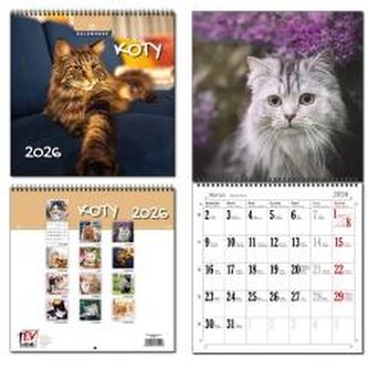 Kalendarz 2026 30x60 13 planszowy Koty