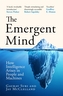 The Emergent Mind