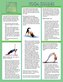 Yoga Guides