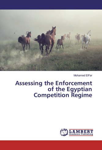 Assessing the Enforcement of the Egyptian Competition Regime