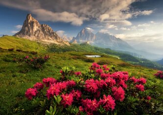 DINO Puzzle Italské Dolomity 2000 dílků