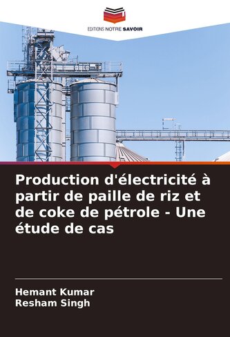 Production d'électricité à partir de paille de riz et de coke de pétrole - Une étude de cas