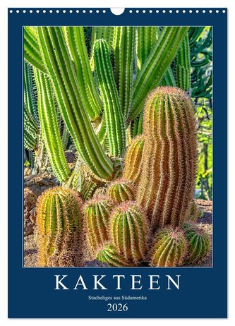 Kakteen - Stacheliges aus Südamerika (Wandkalender 2026 DIN A3 hoch), CALVENDO Monatskalender