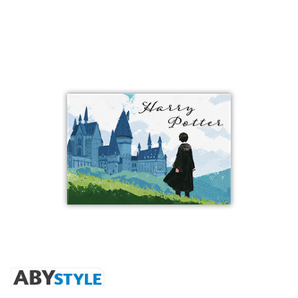 ABYstyle Magnet Harry a Bradavice, Harry Potter