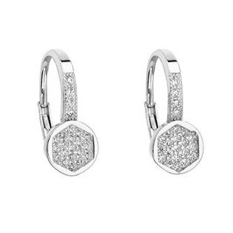 EG2176 Stříbrné dámské náušnice s čirými zirkony