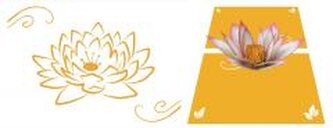 Karnet 12x18cm + koperta POP-UP Nenufar