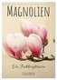 Magnolien Ein Frühlingstraum (Tischkalender 2026 DIN A5 hoch), CALVENDO Monatskalender