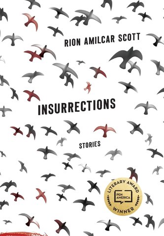 Insurrections: Stories